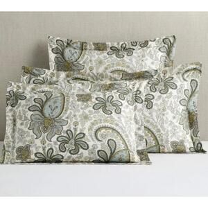 2 Pottery Barn Floral Charlie Paisley OrgCotton Blue Green Pillow Shams Standard